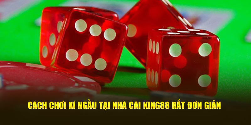 Cách chơi xí ngầu tại nhà cái King88 rất đơn giản