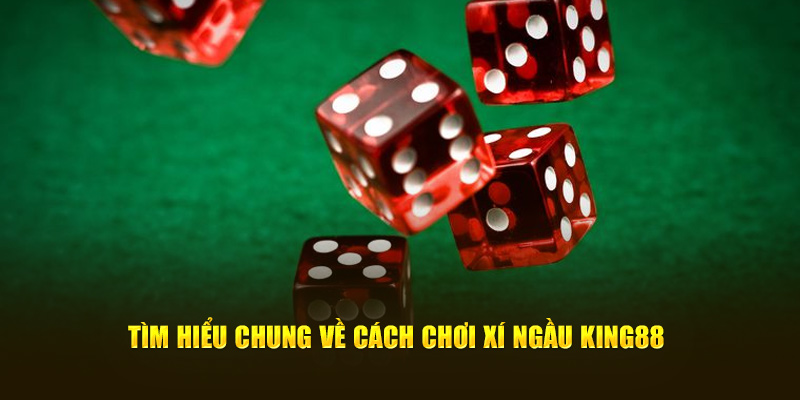 Tìm hiểu chung về cách chơi xí ngầu King88