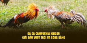 đá gà campuchia king88